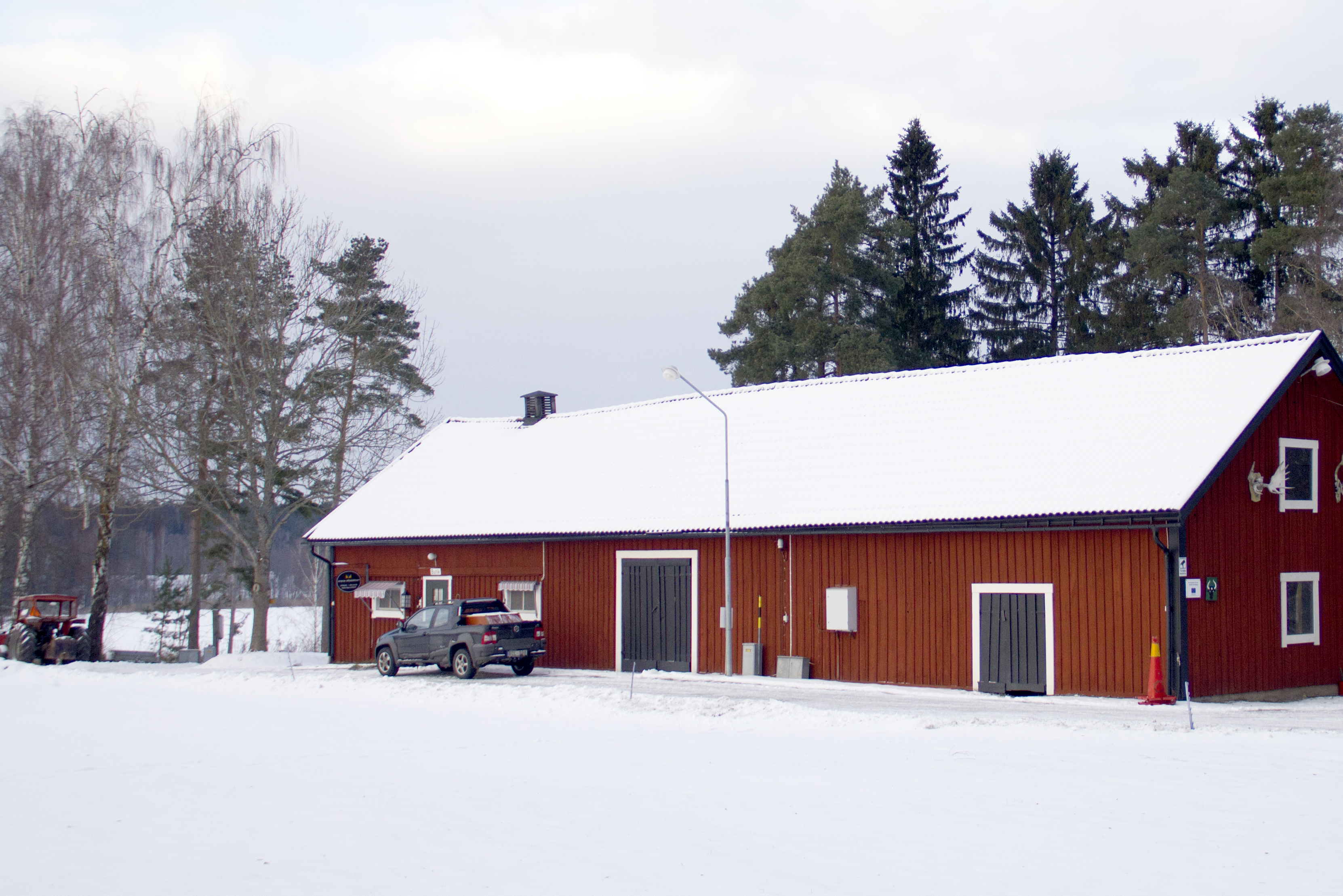 VrenaVilt_vinter